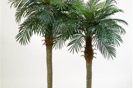 Dekoration, Nürnberg, Studio21, Fitness