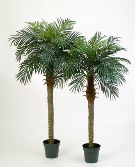 Dekoration, Nürnberg, Studio21, Fitness