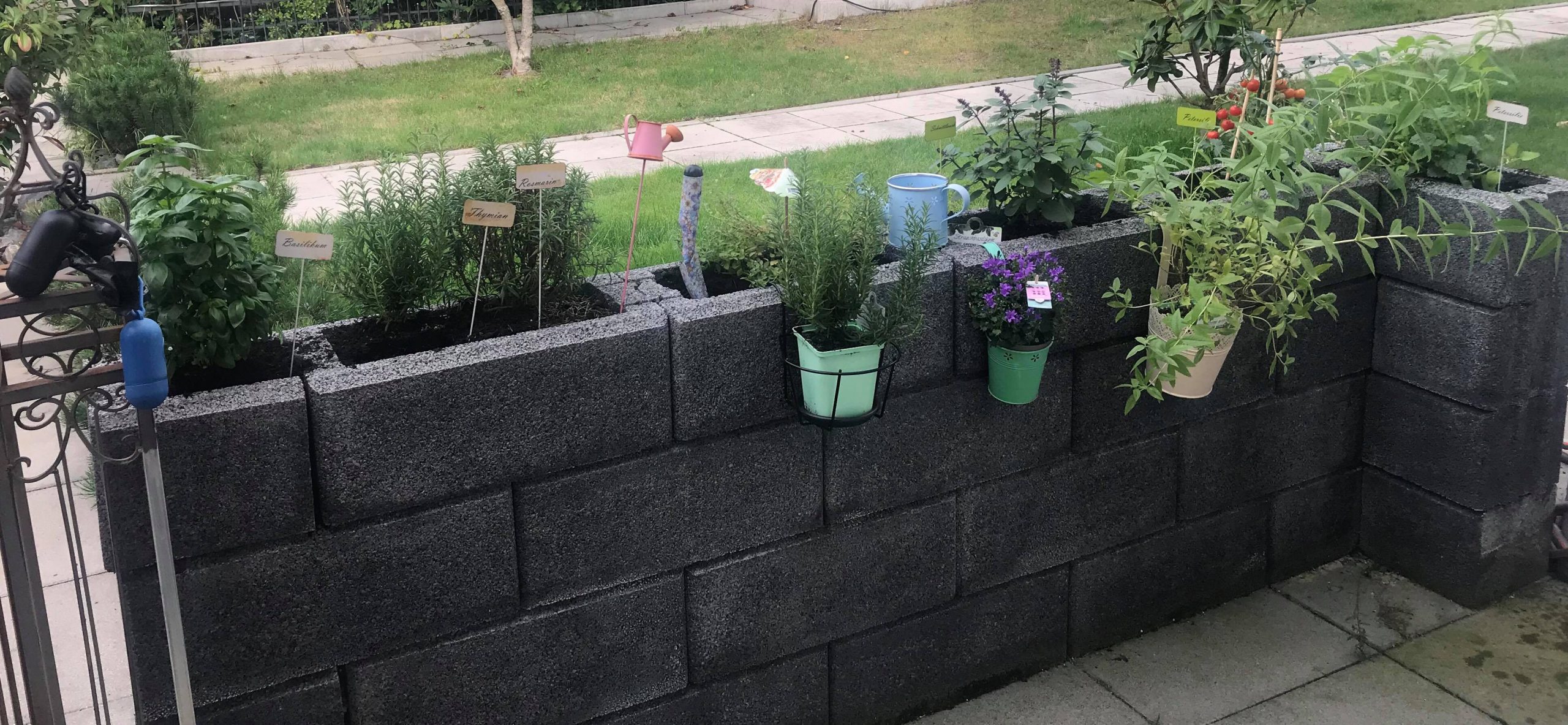 Kräutergarten von Fitness Model Oxana aus Nürnberg vom Fitnessstudio Studio21