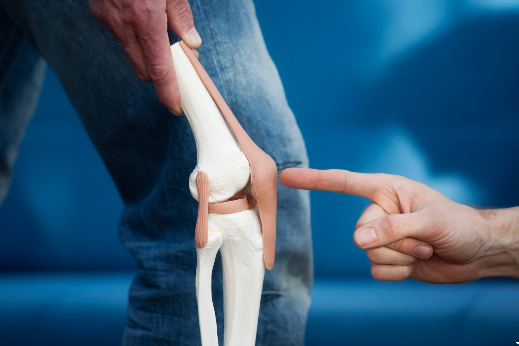 Patellasehne symbolisiert durch ein Kniegelenk mit Finger der darauf deutet