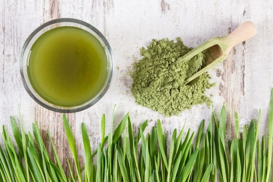 Gerstengras zum Abnehmen, dargestellt von Gersten, Gerstenpulver und Gerstensaft