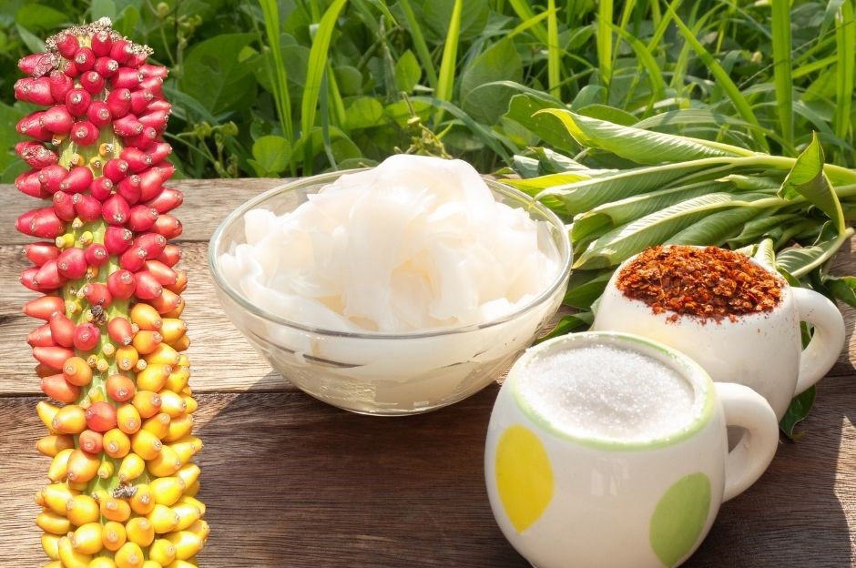 Glucomannan zum Abnehmen dargestellt durch Wurzel Konjakpflanze